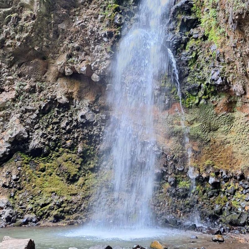 Mexico City: Bubble Waterfall Private Hike with Pickup - FAQ