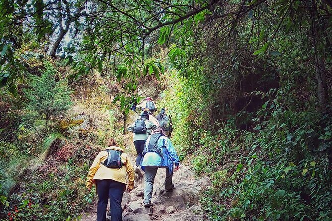 Mexico City: Bubble Waterfall Private Hike with Pickup - FAQ