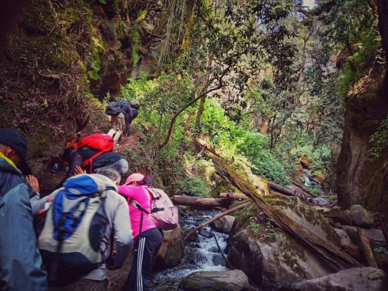 Mexico City: Cascada de Hueyapan Private Hiking Tour - FAQ