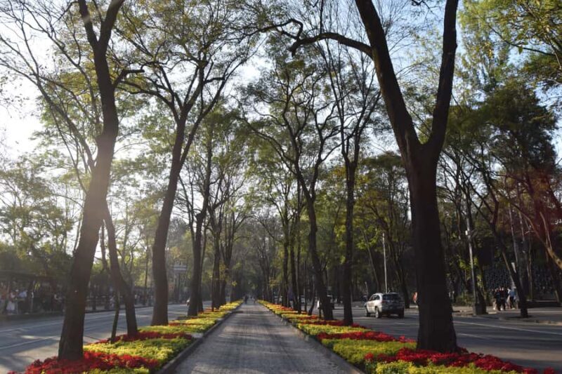 Mexico City: Chapultepec Forest - Diego Rivera's hidden gem - Final Thoughts