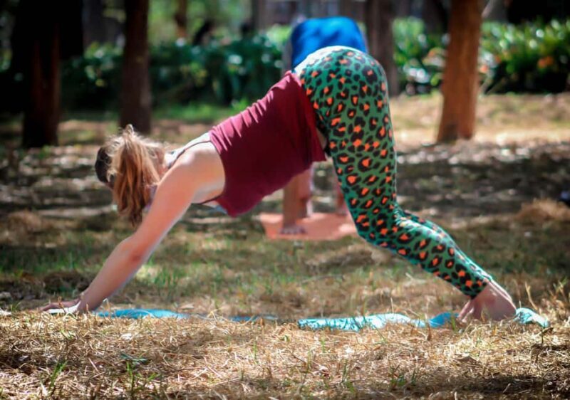Mexico City: Chapultepec Park Yoga Class with Sound Bath - An In-Depth Look at the Experience