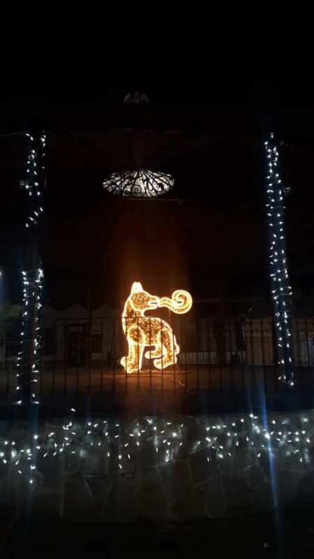 Mexico City: Coyoacán Tour, Frida Kahlo Museum & Breakfast - Who Should Consider This Tour?