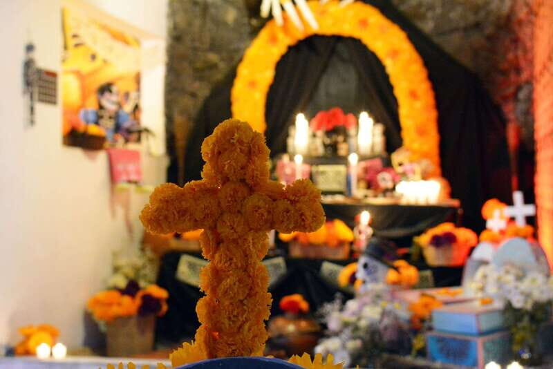 Mexico City: Day of the Dead House and craft workshop - Why This Tour Works Well for Travelers