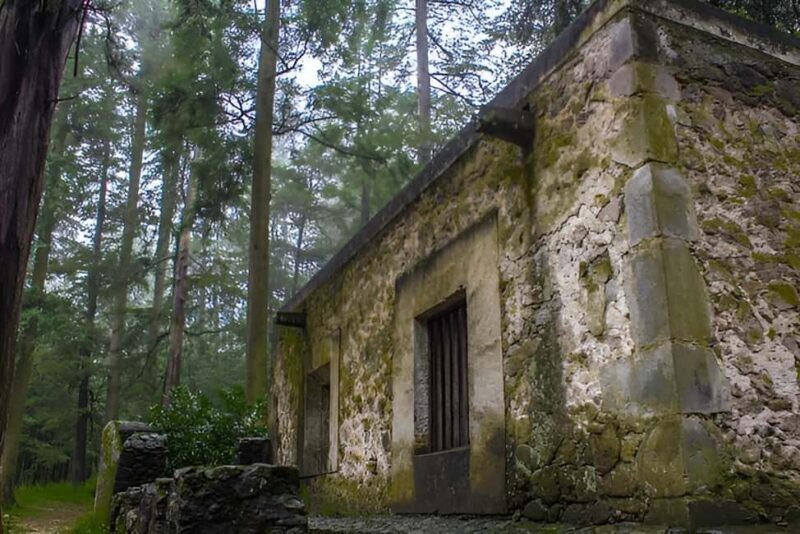 Mexico City: Desierto de los Leones Hike & Ex-Convent Tour - Exploring the Outskirts of Mexico City: An Authentic Nature & History Blend