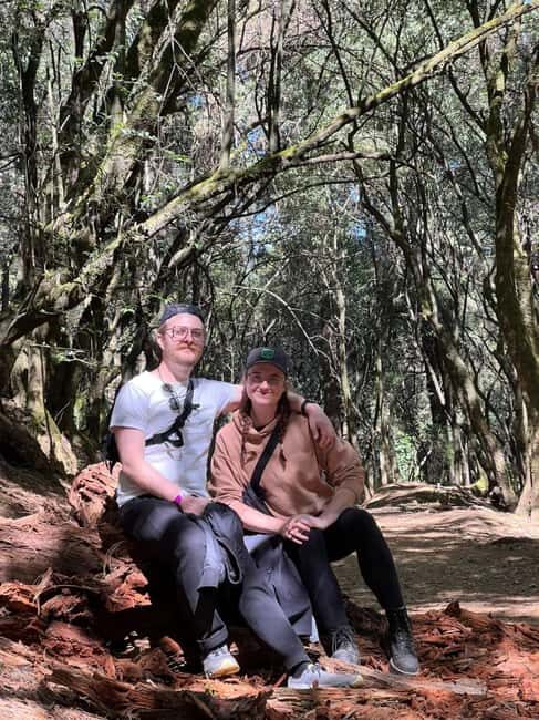 Mexico City: Desierto de los Leones Hike & Ex-Convent Tour - Is This Tour Right for You?