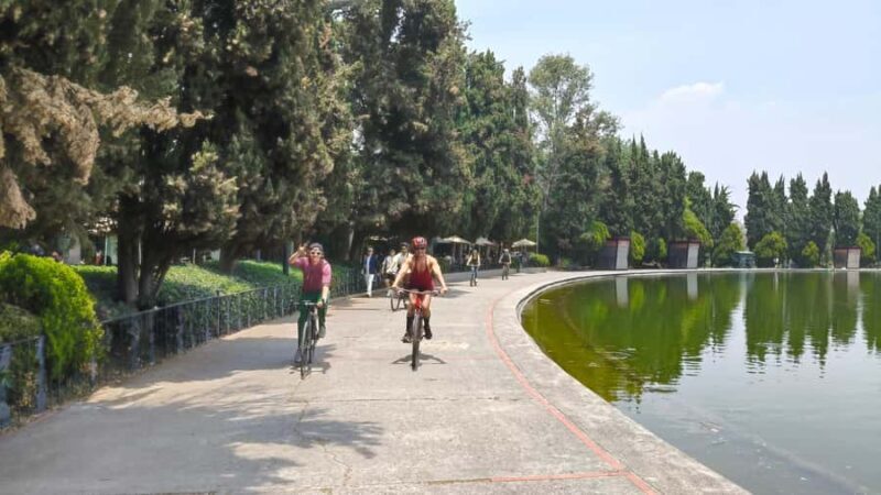 Mexico City: Discover the secret gems of Chapultepec by bike - Visiting the Museum of Modern Art and Murals by Diego Rivera