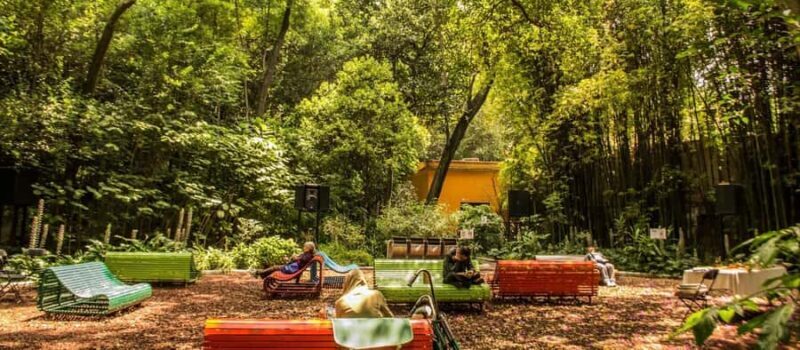 Mexico City: Discover the secret gems of Chapultepec by bike - Practicalities and What to Expect