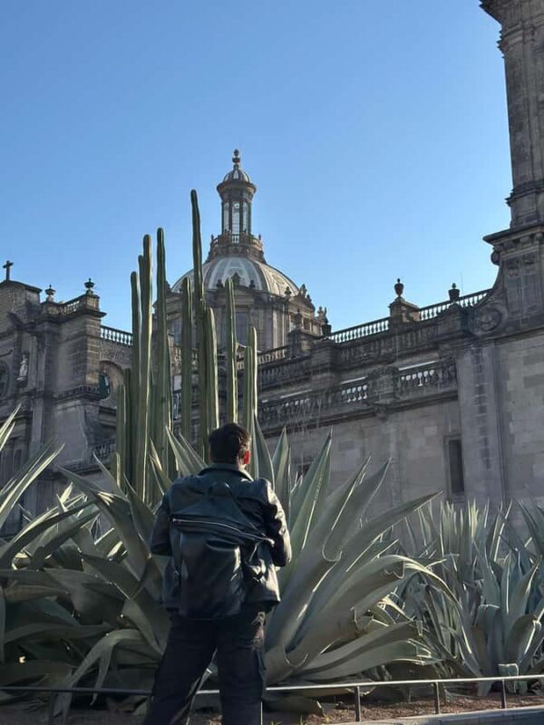 Mexico City: Downtown Walking Tour, a view from the past to the present - Who Should Consider This Tour?