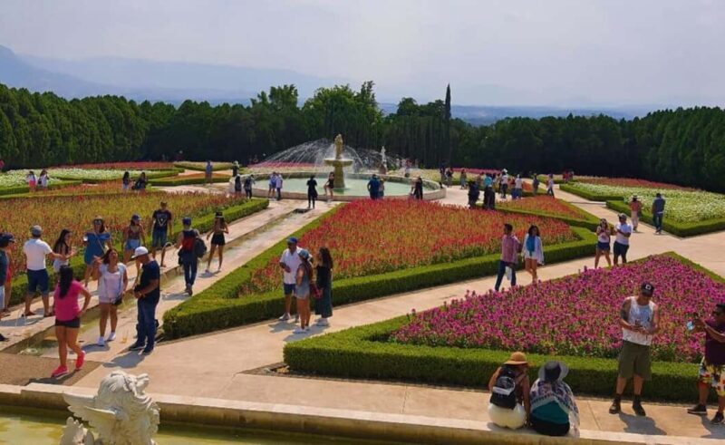 Mexico City: Explore Mexican Gardens and Tepoztlan Town - A Deep Dive into the Experience