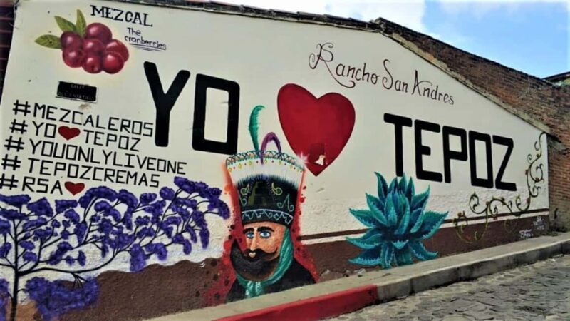 Mexico City: Explore Mexican Gardens and Tepoztlan Town - The Sum Up: Is It Worth It?