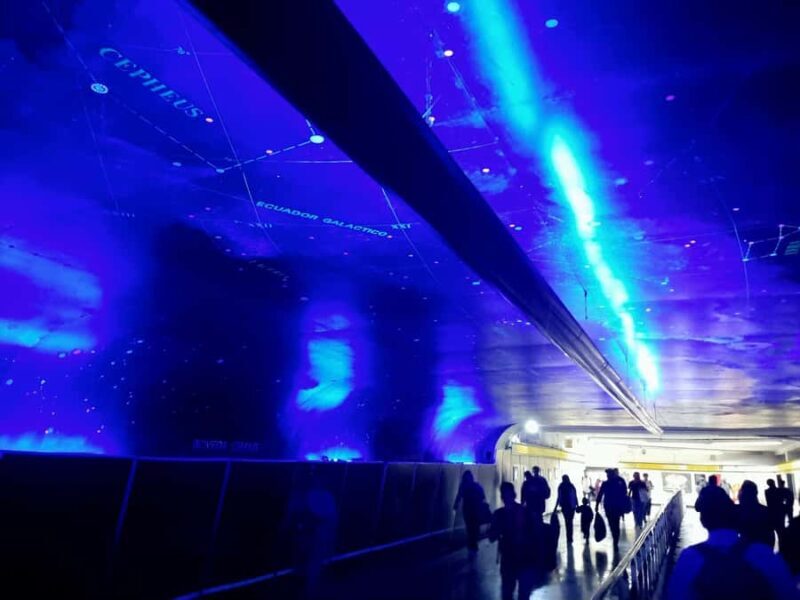 Mexico City: Fine Arts, Alabama Park, Science Museum Tour. - Authentic Experiences and Hidden Gems