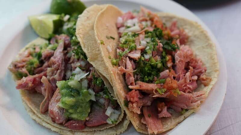 México City: Food Tour, home made food (mi casa es tu casa) - Who Should Consider This Tour?