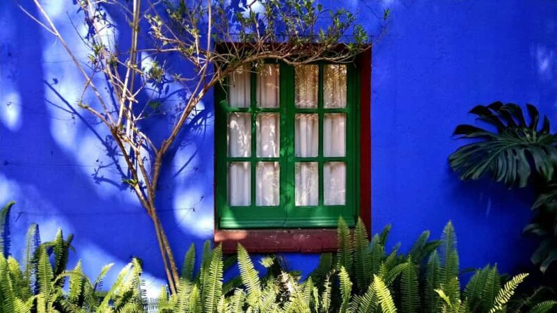 Mexico City: Frida Kahlo City Tour, with optional museum and Xochimilco - Why This Tour Works Well