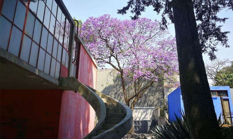 Mexico City: Frida Kahlo-Diego Rivera Studio House Tour - Final Thoughts: Is This Tour Right for You?