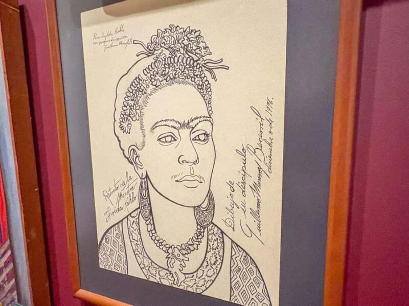 Mexico City: Frida Kahlo Museum or Casa Kahlo Entry - Who Will Enjoy This Tour?