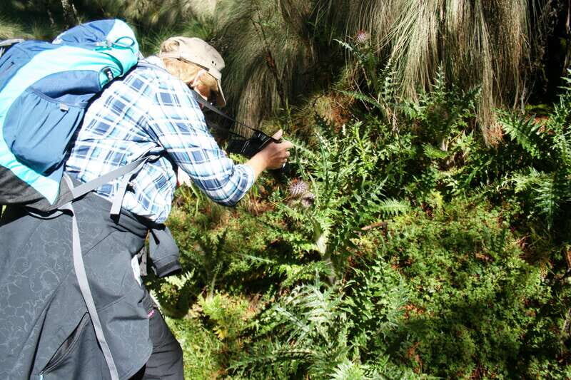 Mexico City: Guided Volcano Trek with Lunch - Mexico City: Guided Volcano Trek with Lunch — A Practical Adventure in Nature