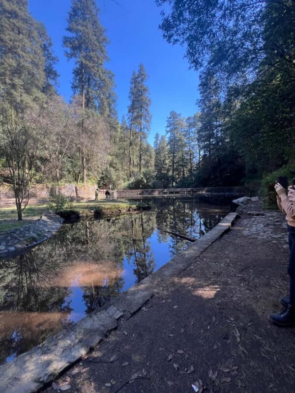 Mexico City: Hiking tour to the Desert of the Lions - Mexico City: Hiking tour to the Desert of the Lions