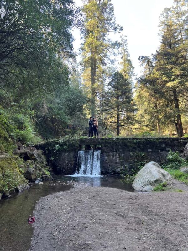 Mexico City: Hiking tour to the Desert of the Lions - Key Points