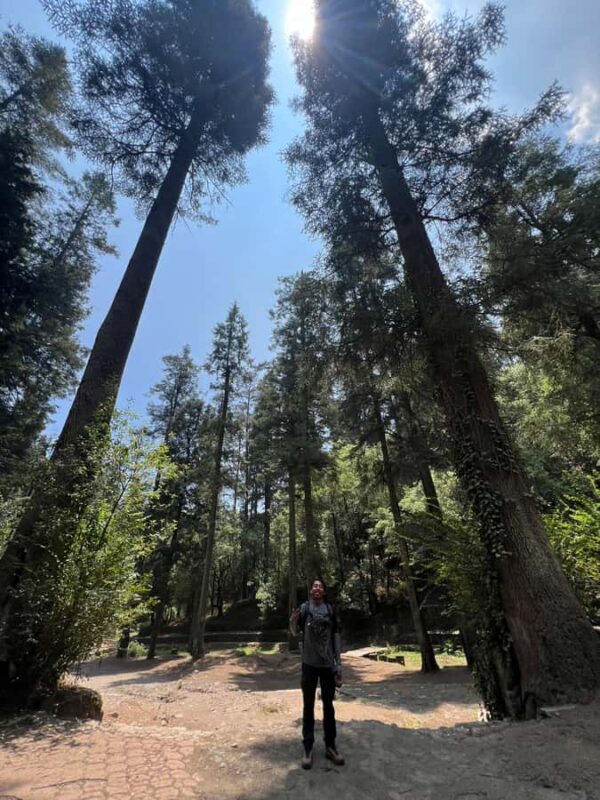 Mexico City: Hiking tour to the Desert of the Lions - Why This Experience Offers Real Value