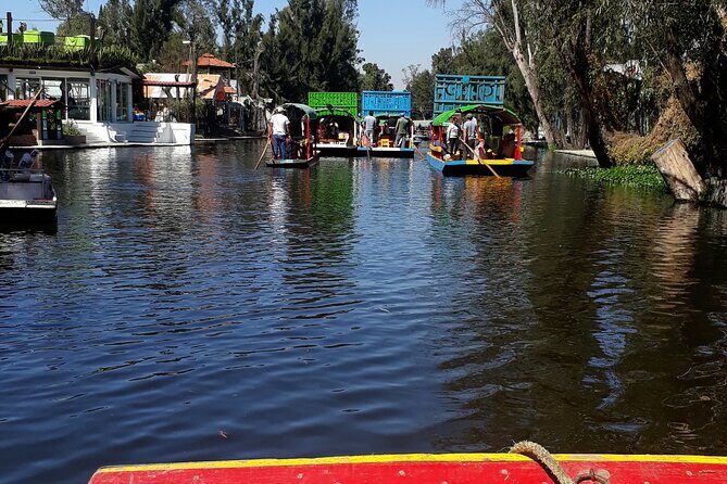 Mexico City History Tour with a Local Expert: 100% Personalized & Private - Who Will Enjoy This Tour Most?