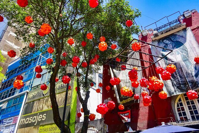 Mexico City History Tour with a Local Expert: 100% Personalized & Private - Final Thoughts