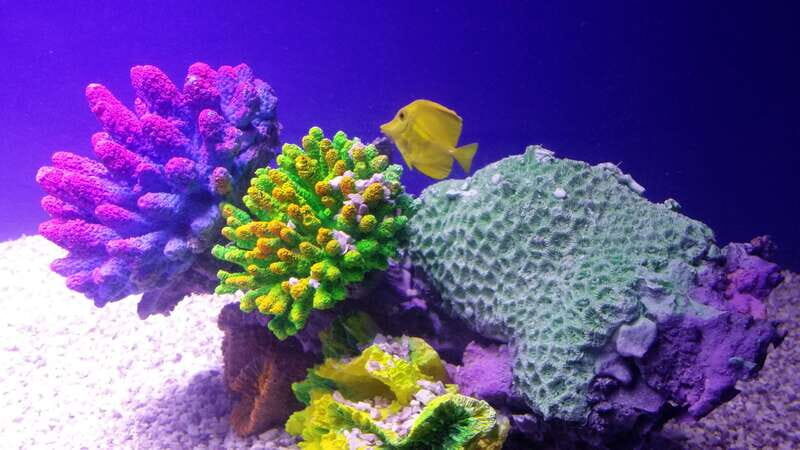 Mexico City: Inbursa Aquarium optional Round trip transfer - Exploring the Inbursa Aquarium in Detail