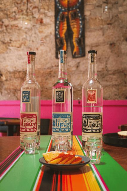 Mexico City: Mezcal Tasting and Market Tour with Lunch - Final Thoughts