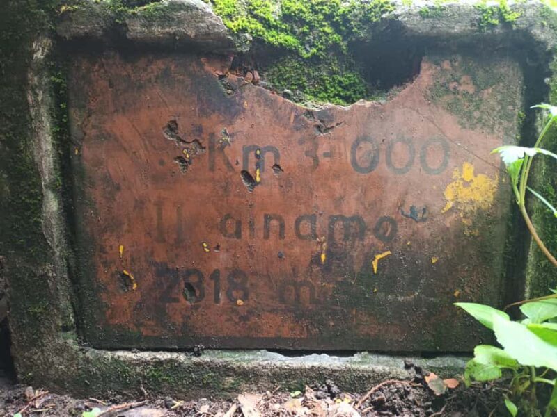 Mexico City: Morning Hiking at Mirador Coconetla - The Sum Up