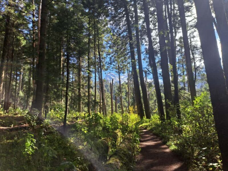 Mexico City: Nexcolango Lagoons Private Hiking Tour - Why Choose This Tour?