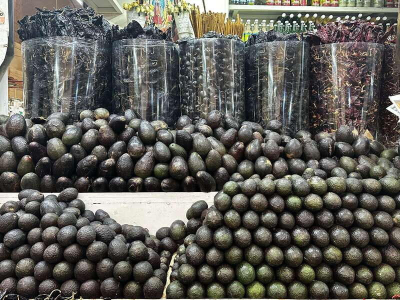 Mexico City: Old Town Food Tour of 7 Tastings & Secret Dish - Frequently Asked Questions