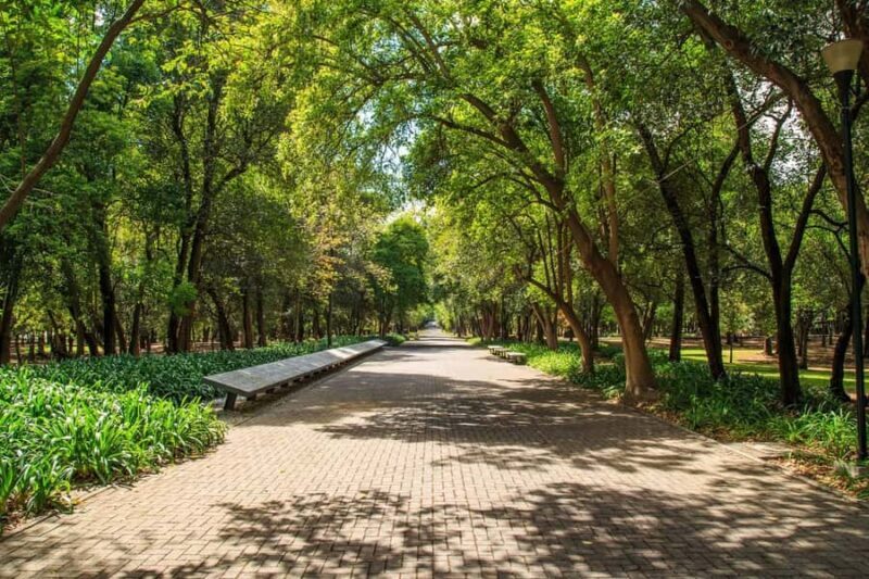 Mexico City: Private Bike Tour of Chapultepec Forest - Key Points