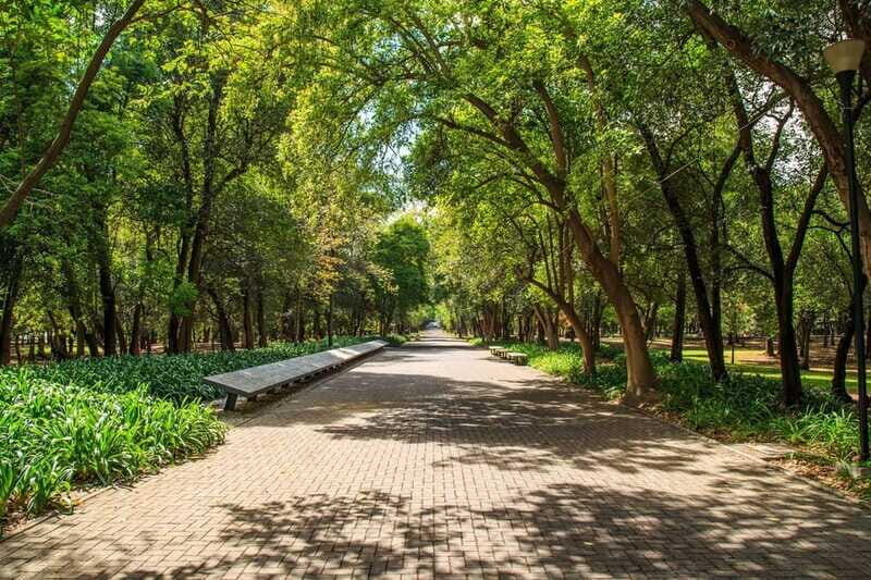 Mexico City: Private Bike Tour of Chapultepec Forest - FAQ