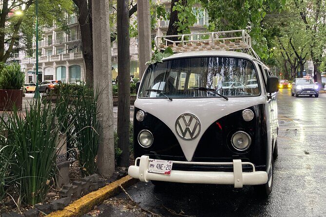 Mexico City PRIVATE Lucha Libre, mezcal & Tacos on a 1975 VW Bus - A Deep Dive into the Experience