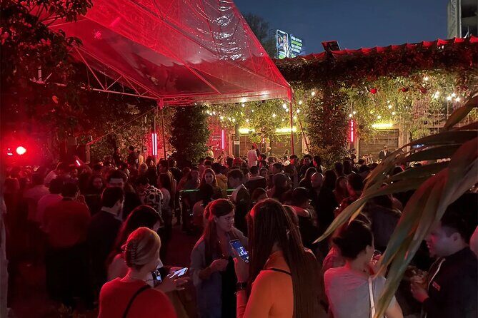 Mexico City Pub Crawl - Overview of the Mexico City Pub Crawl