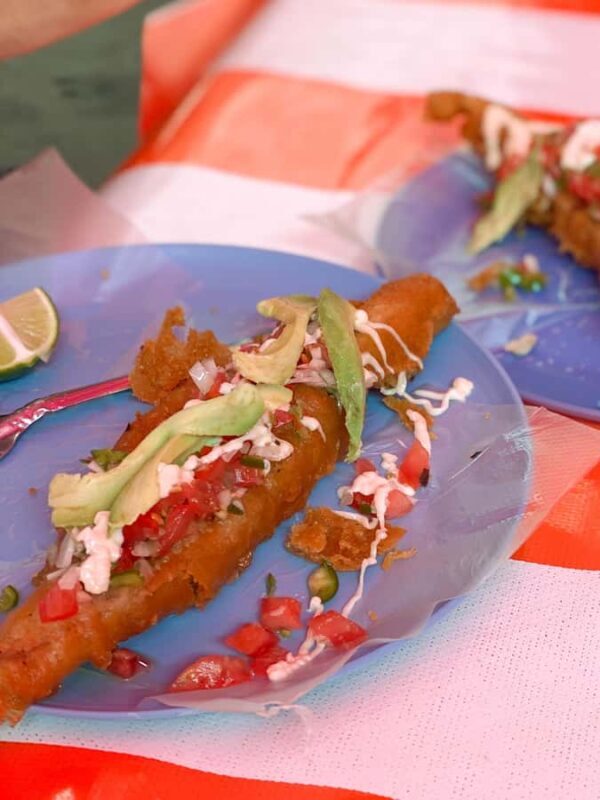 Mexico City: Street Food and Exotic Fruits Market Tour - final thoughts