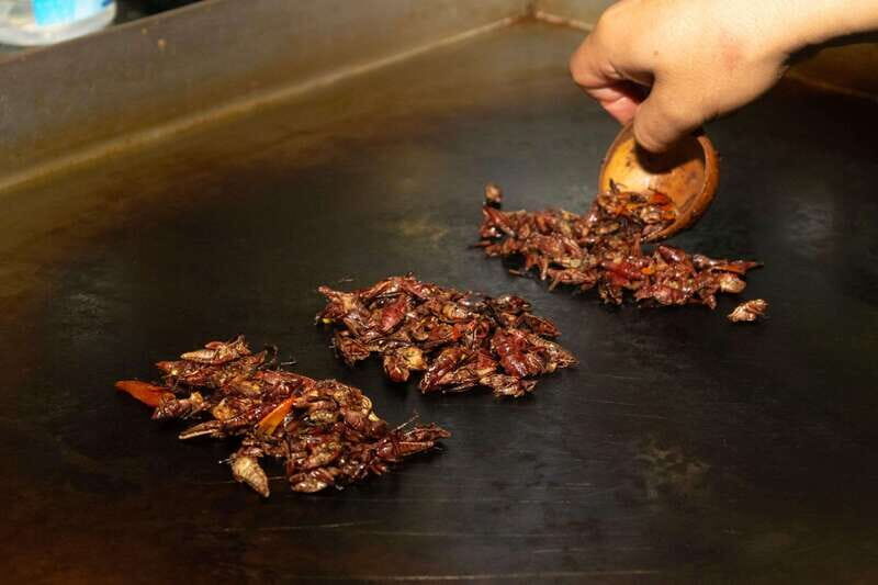 Mexico City: Street Food, Mole & Mezcal Small Group Tour - The Sum Up: Who’s the Best Fit?