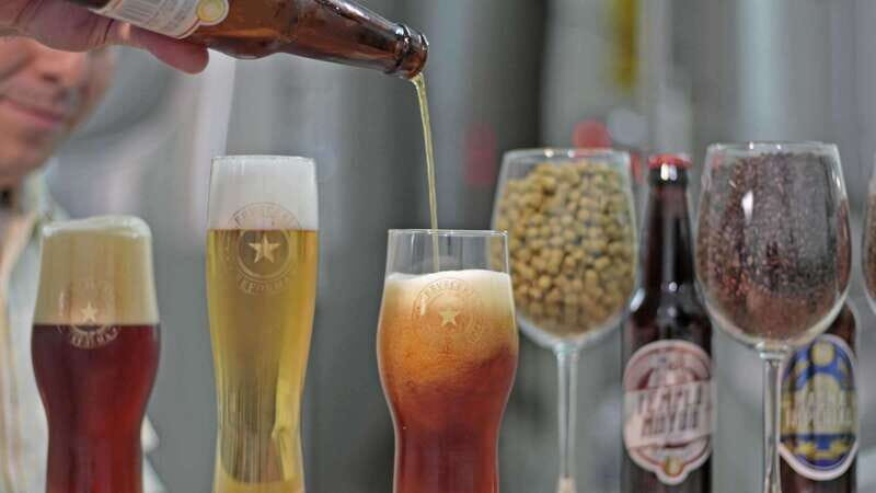 Mexico City Tasting Tour and Craft Beer Experience - Who Will Love This Tour?