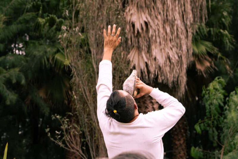 Mexico City: Temazcal Ceremony and Rapé Ceremony - The Rapé Ceremony: Vocal and Spiritual Activation