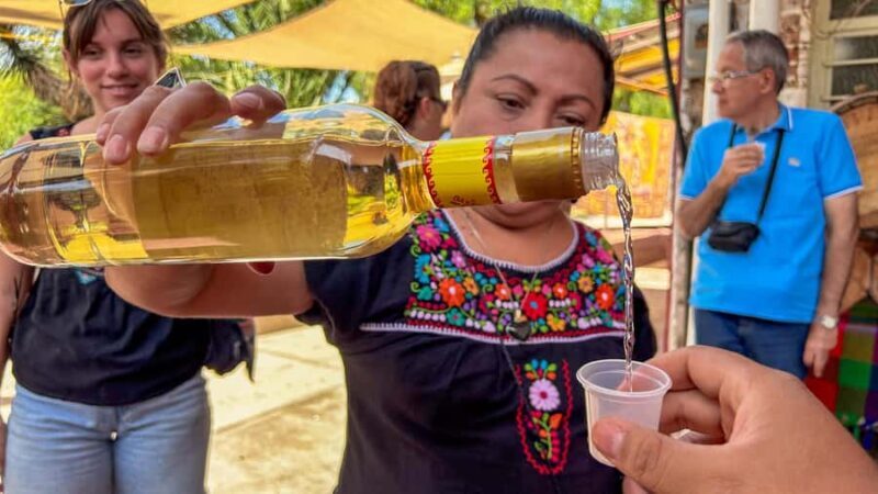 Mexico City: Teotihuacan & Guadalupe Shrine Tour with Lunch - Authentic Experiences & Guided Insights—What Sets This Tour Apart