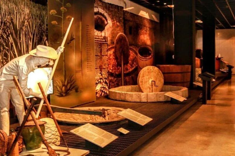 Mexico City: Tequila and Mezcal Museum Ticket with Tastings - The Breakdown of the Itinerary
