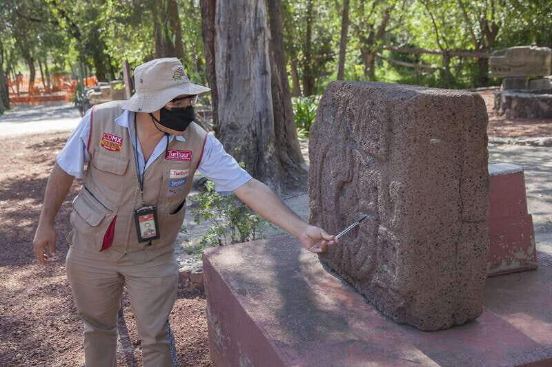 Mexico City: Trip to Teotihuacan Pyramids & Guadalupe Shrine - Key Points