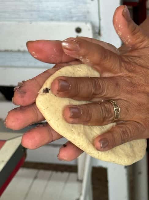 Mexico City: Vegan & Veggie Market Tour with Cooking Lesson - An In-Depth Look at the Mexico City Vegan & Veggie Market Tour