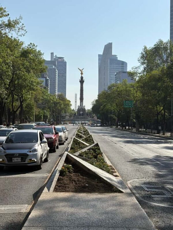 Mexico City: Walking Tour of the Historic Center "El paso de la CDMX" - Transportation and Group Dynamics