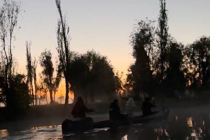 Mexico City: Xochimilco at sunrise + Breakfast and transportation - The Sum Up: Why Choose This Tour?