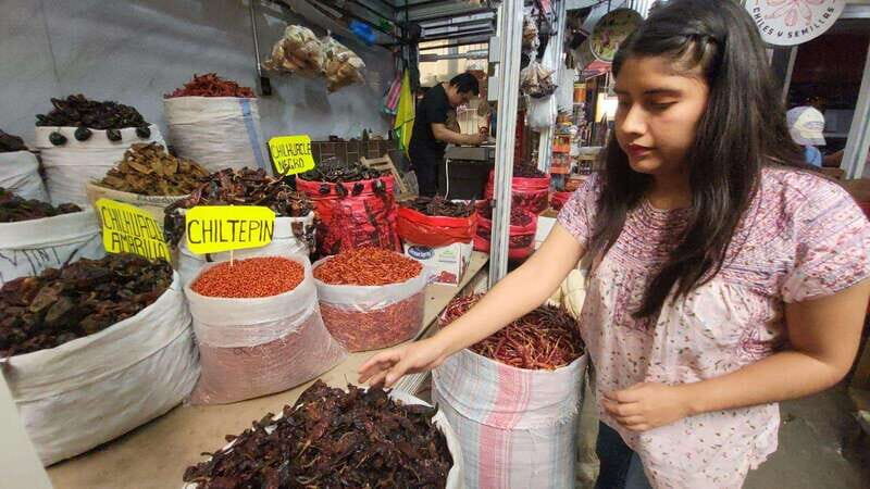 Mexico: Salsa Making Class in a Market with a Chef - Final Thoughts: Who Will Love This?