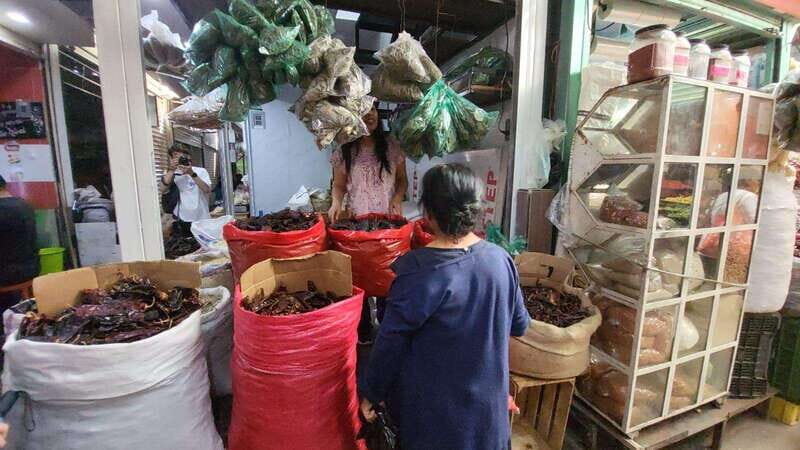 Mexico: Salsa Making Class in a Market with a Chef - FAQs