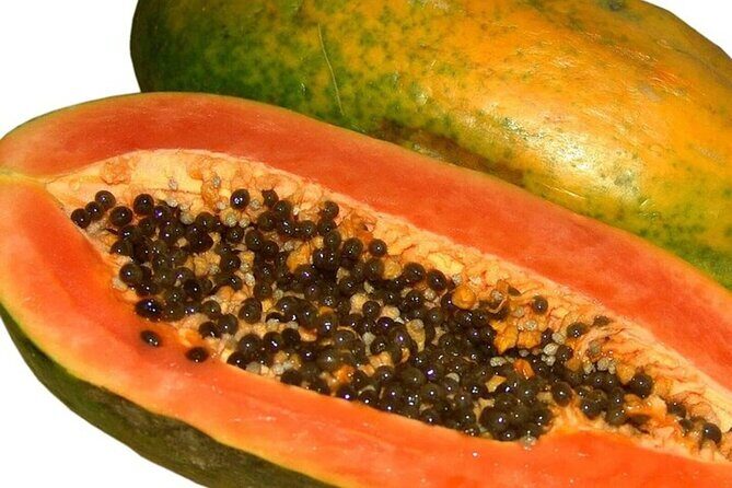 Mexico's Tropical Fruit Guided Tasting in Mexico City - Final Word