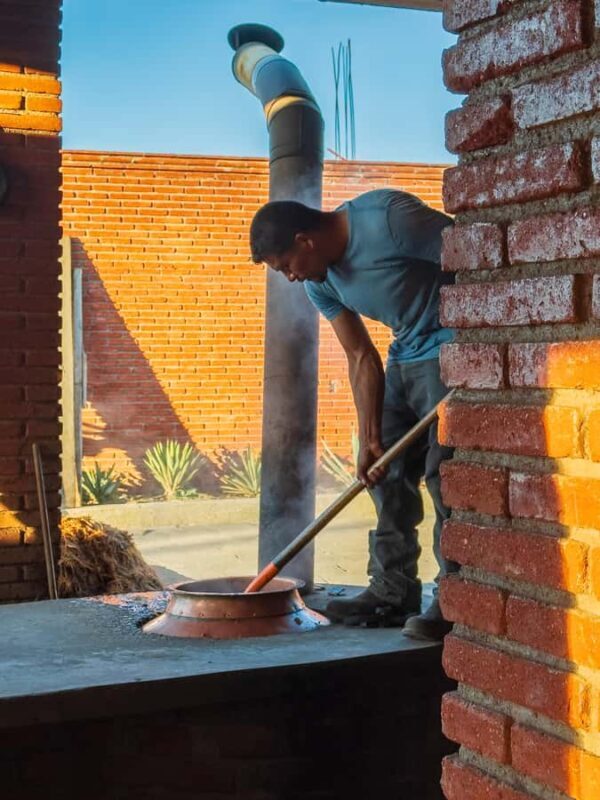 Mezcal, Agave, and Pulque Tour in Oaxaca - A Detailed Look at the Oaxaca Mezcal, Agave, and Pulque Tour