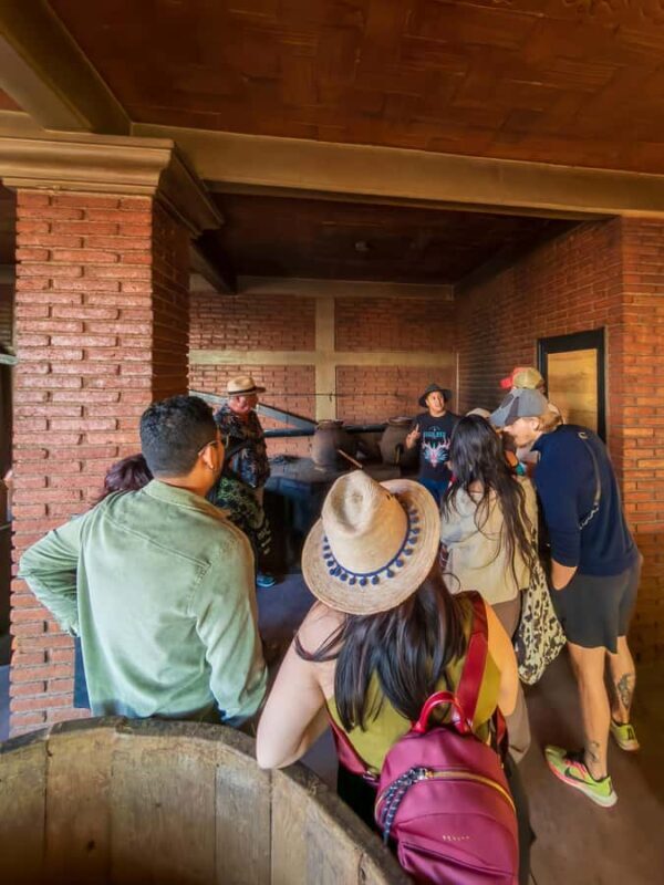 Mezcal, Agave, and Pulque Tour in Oaxaca - Who Should Consider This Tour?
