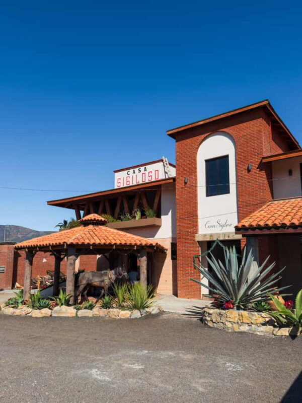 Mezcal, Agave, and Pulque Tour in Oaxaca - Frequently Asked Questions